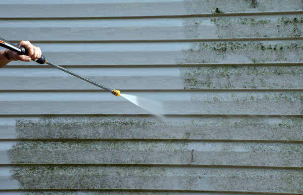 Attic Mold Removal in Valley Mills, TX