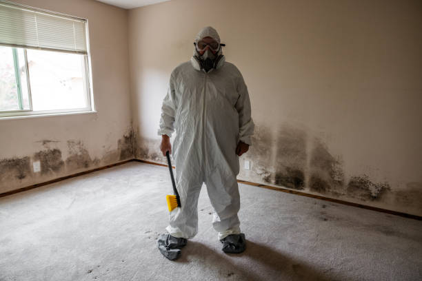 Best Toxic Mold Removal  in Valley Mills, TX